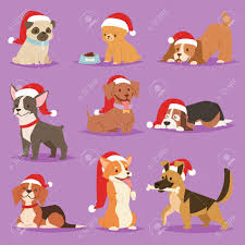 The comic misadventures of a tidy, refined cat and a goofy, uncouth dog joined at the abdomen. Christmas Dog Vector Cute Cartoon Puppy Characters Illustration Royalty Free Cliparts Vectors And Stock Illustration Image 89823903