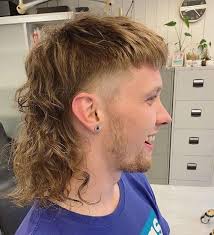 Mullet hairstyle