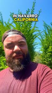 This weekend I'm playing @camp.navarro Sunday the 17th to kick off my west  coast summer shows, Can't wait to see all my people