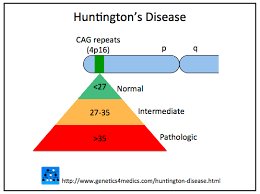 Https Health Ucdavis Edu Huntingtons Images Hdsa 2015 Jhd Pdf