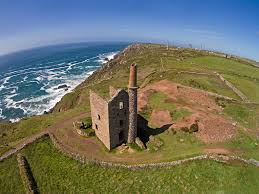 Image result for Wheal