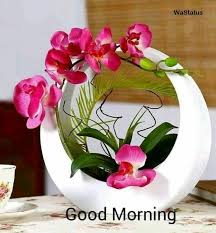 Pin On Good Morning Wishes