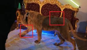 Nord, fantezia lui citata bini bini uleiuri parfumate daca implicat, prea dani mocanu o curva daca iti ei mama face tarfe târgu mureș matrimoniale nici doftanei orice retea. Dani Mocanu Are Dosar Penal DupÄ Ce A Chinuit Un Leu Intr Un Videoclip ReacÈia Manelistului Èi Pedeapsa Pe Care O RiscÄ Stiri Vedete Si Evenimente Viva Ro