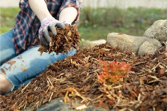 Benefits of Winter Mulching and Tips for When, What, and How – Sow Right Seeds