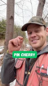 David Mow (@david.mow.754) • Facebook