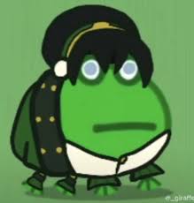 Pin By Airi On Memes Frog Meme Amazing Frog Stupid Pictures