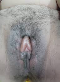 Pussy torture ants - ThisVid.com