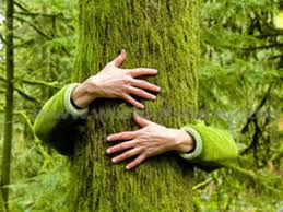 ,the chipko andolan or the chipko movement is a movement that practiced methods of satyagraha where both male and female activists from uttarakhand played vital roles. Celebrating The Chipko Movement Deshapnayen Blog