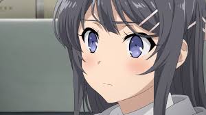 Der hintergrund am pc ist dabei das wohl meist gesehene bild. Mai Sakurajima Wallpapers Wallpaper Cave