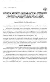 Image result for Oxyrhachis