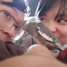 EXOTIC BIRDS BY FRAN