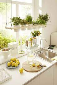Awesome Ways Of How To Make Your Home Homey Kitchen Plants Kitchen Decor Home Decor Tips