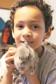 Raising rabbits: Local family talks about showing, breeding rabbits