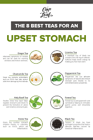 The 8 Best Teas For An Upset Stomach Stomach Remedies Upset Stomach Best Tea