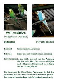 We did not find results for: Wellensittiche Zoopark Erfurt