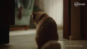 City island) is an american comedy film from 2009, which revolves around the rizzo family and their little secrets in dealing with each other. Sumeena Parimu Petbarn Meet Rizzo Adforum Talent The Creative Industry Network