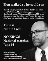 Liz Cheney/Adam Kinzinger Against Trump