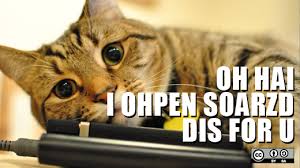 Image result for lolcats