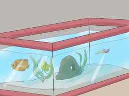 Permintaan terhadap jenis ikan yang indah. Cara Mempersiapkan Akuarium Air Tawar Tropis Dengan Gambar