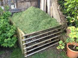 Was Darf Auf Den Kompost Was Nicht Abfalle Richtig Kompostieren Kompost Kompostieren Gemuse Anbauen