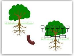 5 Creative Powerpoint Tree Diagrams