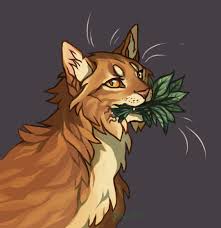 Mothwing Tumblr Cattumblr Warrior Cats Art Warrior Cat Drawings Warrior Cat Memes