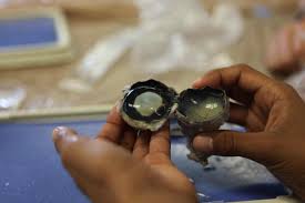 We did not find results for: Cow Eye Dissection