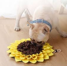 Bunga matahari berasal dari genus helianthus dengan nama latin helianthus annuus. Sunflower Snuffle Mat Toy Dog Cat Kucing Mainan Slow Feeder Mangkuk Makan Lebih Perlahan 23104 Pet Supplies Pet Accessories On Carousell