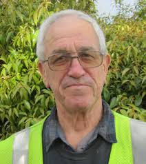 300 MILLION SEEDLINGS