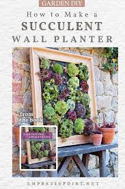 We deceivingly think they are cacti and can live without water, but it's not true. Diy Succulent Wall Planter Empress Of Dirt