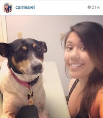 Where can I find free puppies to adopt?