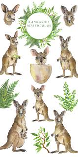 Kangaroo Watercolor Clipart Australian Animal Clipart Mom Etsy Watercolor Clipart Baby Shower Art Clip Art