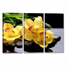 Fiore simile a orchidea, può essere della stessa famiglia? Quadri L C Italia Orchidea Gialla Zen Quadro Con Fiori Sassi Per Camera Da Letto Bagno 115 X 70 Stampa Su Tela Da Parete Relax Centro Estetico Benessere 3 Pezzi Grandi Multipannello