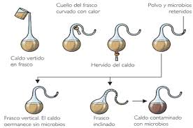 Resultado de imagen de experimento de louis pasteur