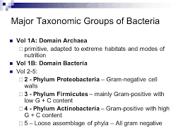 Bacterial Classification Anatomy Nutrition Growth Metabolism And Genetics Ppt Download