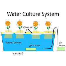 Types Of Hydroponics System Wick System Ebb Flow System Water Culture System N F T System Aeroponic System Hydroponics System Hydroponics Aeroponic System