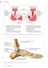 Symptoms, causes a medial malleolus fracture is a condition characterized by a break in the bony process situated at the. Sprunggelenkdistorsion Wann Rontgen Wie Behandeln Rosenfluh Ch