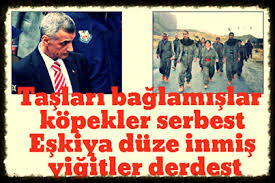Taslari Baglamislar Kopekler Serbest