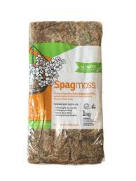 Best choice for sphagnum moss best moss for carnivorous nepenthes plants! Oderings Garden Centres House Plants Green Living Sphagnum Moss