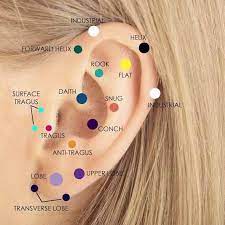 Check spelling or type a new query. Locations And Names Of Ear Piercings Coolguides