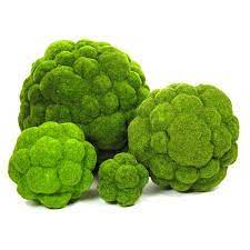Buy rustic table runners and wedding tablecloths from efavormart. Moss Balls From The Garden Gates Moss Balls Faux Moss Decorative Spheres