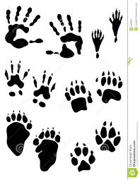 Sellos Animales De La Huella E Impresion Humana De Las Manos Stock De Ilustracion Ilustracion De Fondo Humano 8429307