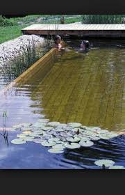 Plantas Acuaticas Madera Y Piedra Naturschwimmbader Naturschwimmbecken Und Gartenpools
