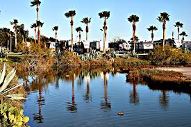 This summer, taking a trip in an rv might be one of the safest ways you can travel, and there's no shortage of luxury parks across the us. A Dozen Spectacular Rv Parks For Winter Camping Rving With Rex