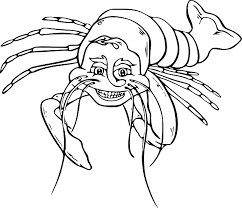 26 gambar kartun udang lucu di 2020 kartun anak binatang. Lobster Outline Black Food Outline White Cartoon Laughing Lobster Line Art Full Size Png Download Seekpng
