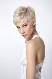 Possible Fine Straight Hair Very Short Haircuts Short Hair Styles Pixie