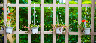The senate committee is seeking to craft a federal privacy law in the wake of repeated data scandals such as the cambridge. Maximum Height Allowed For A Garden Fence With Trellis