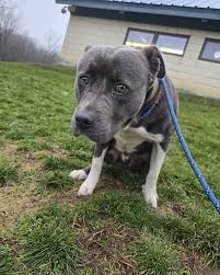 Mifflin has power! Atleast Satinwood Dr.