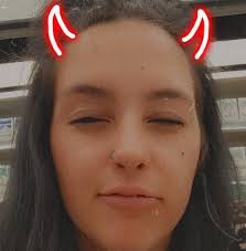 Best place to get a vehicle tinted