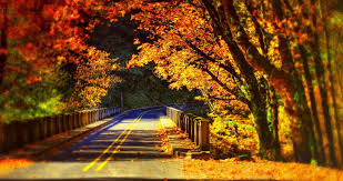 Road Bridge In Colorfull Nature 4k Ultra Hd Wallpaper Autumn Scenery Scenery Wallpaper Scenic Autumn